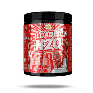 مکمل آبرسان لودد H20 سی ان پی 300 گرمی CNP Loaded H2O